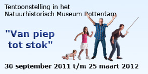 Erasmus Summer Programme 2011